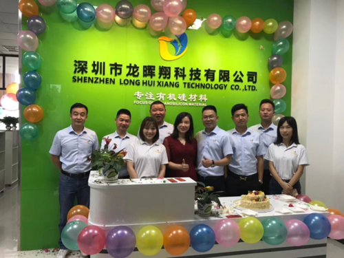 选择龙晖翔,事业更辉煌!公司简介